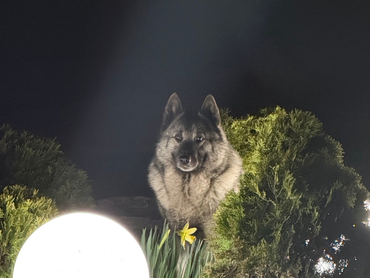 April birthdays: Part&nbsp;II