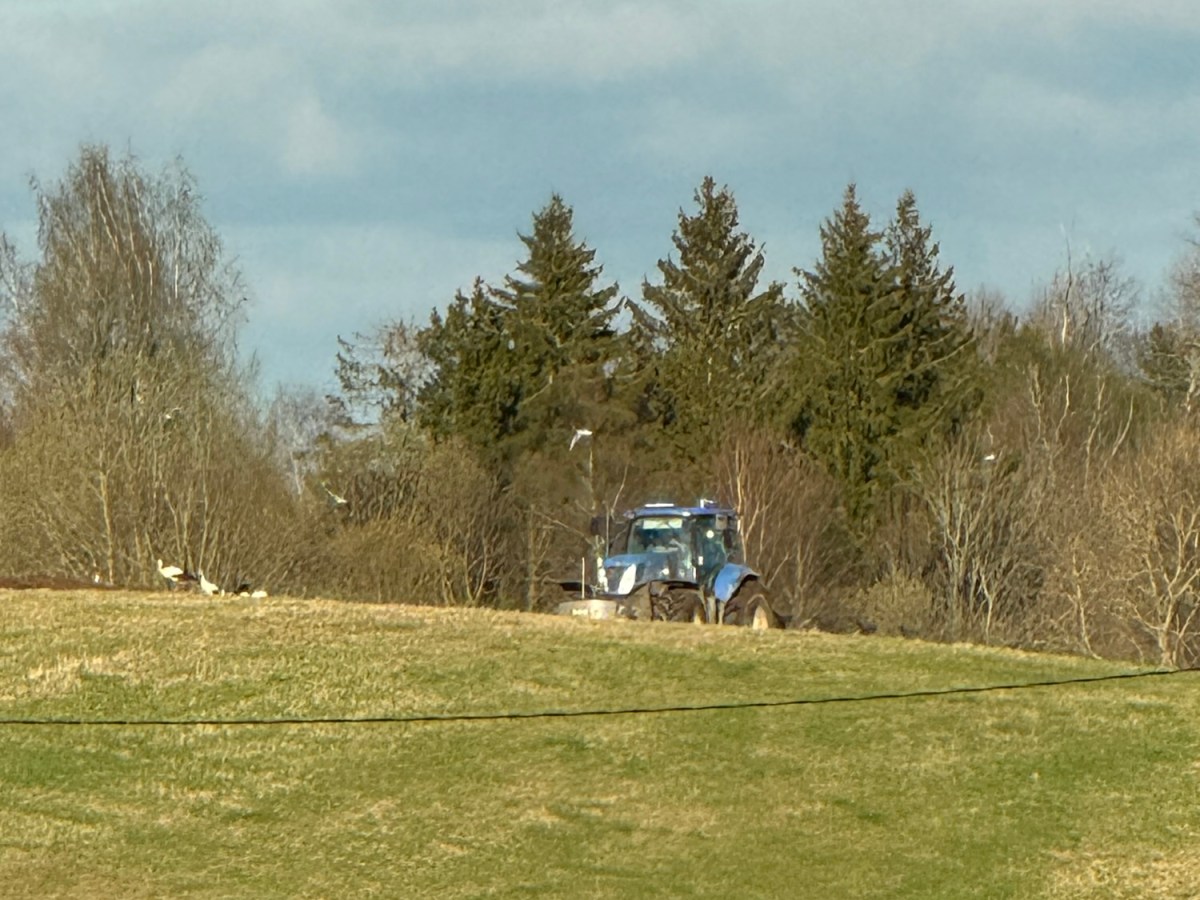 When the Field Across the Road Began to&nbsp;Change