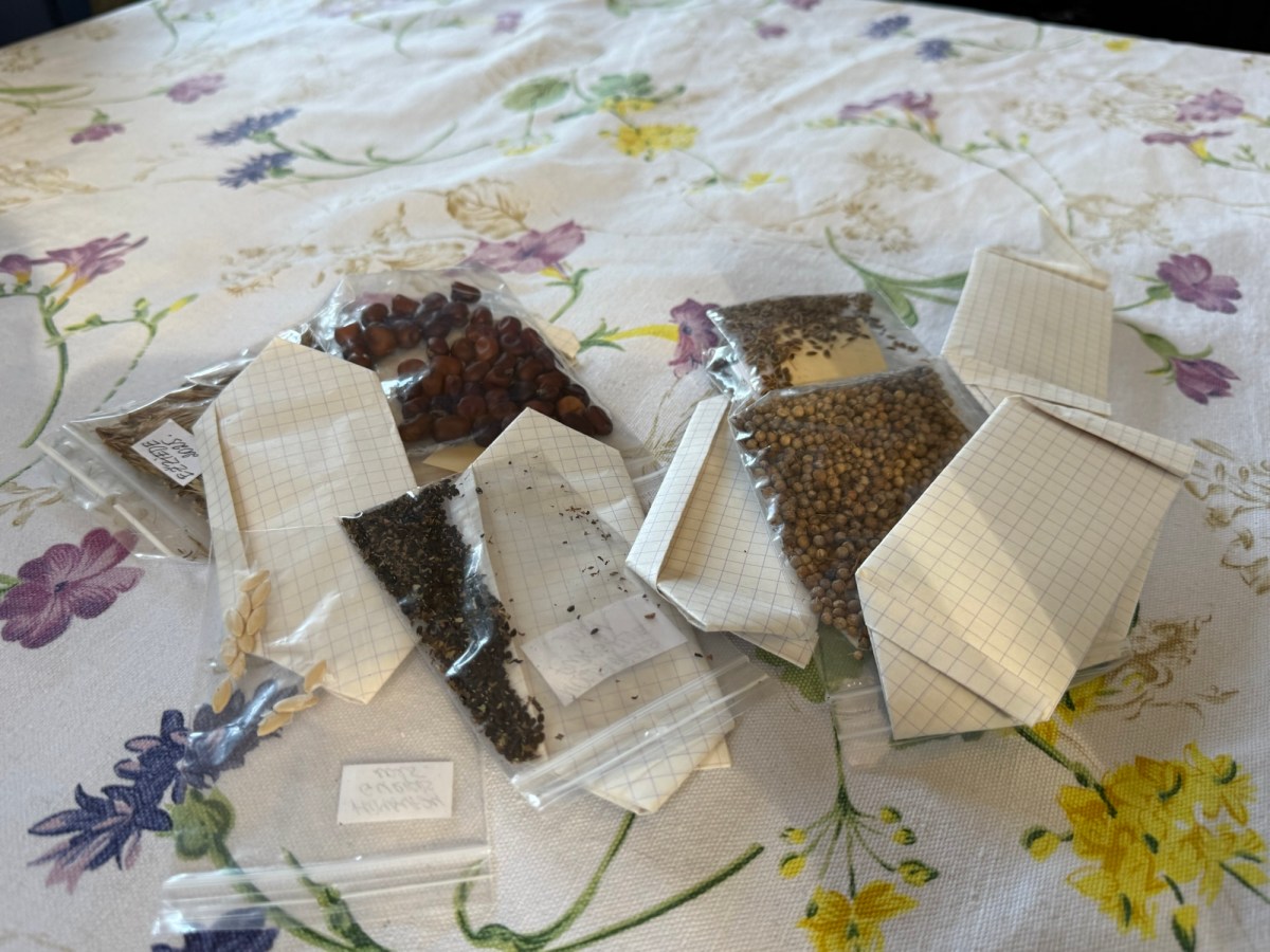 A Medieval Castle Garden Came to&nbsp;Gulbene