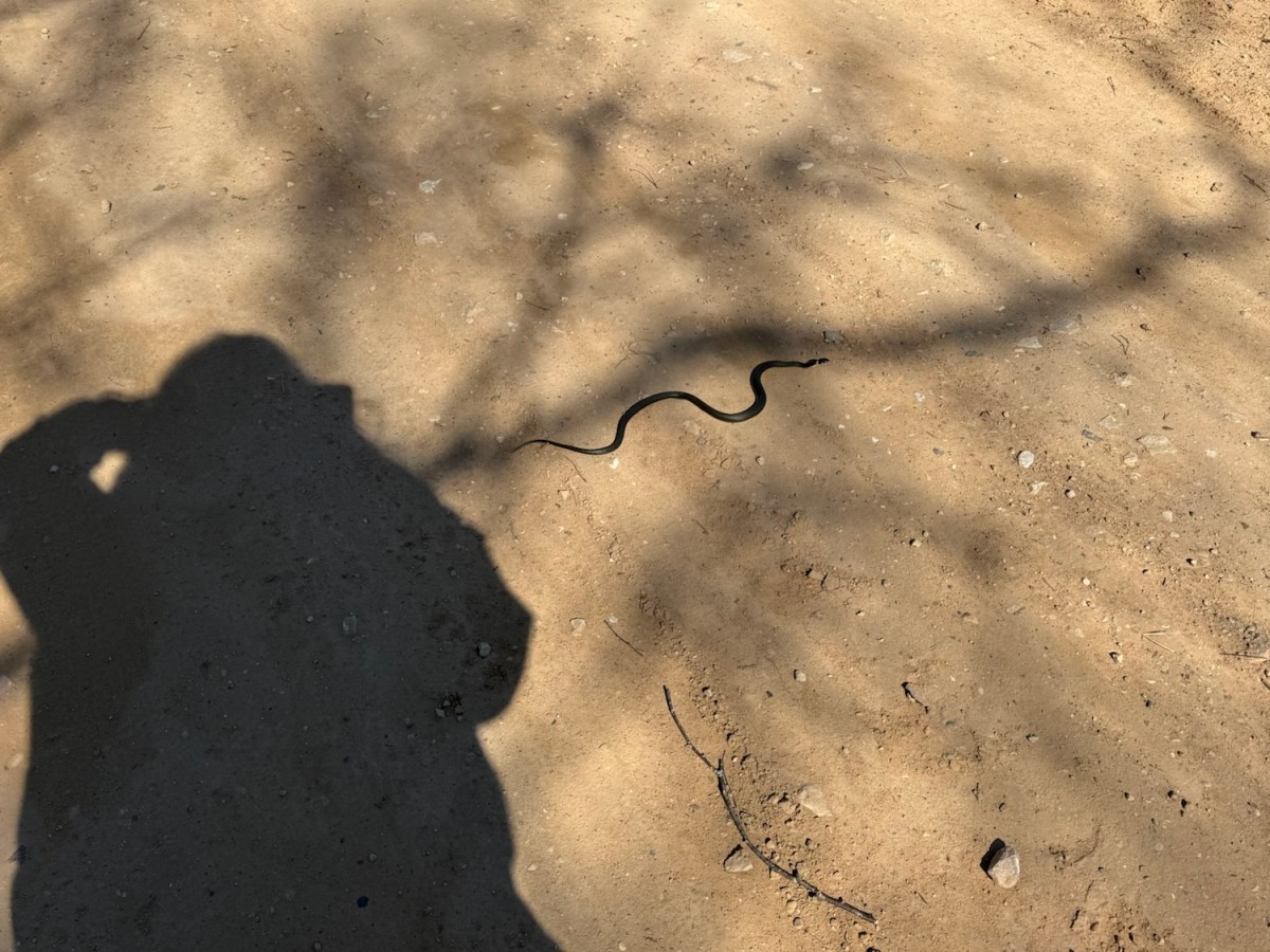 Finding My Distance, Nature&nbsp;Inspired