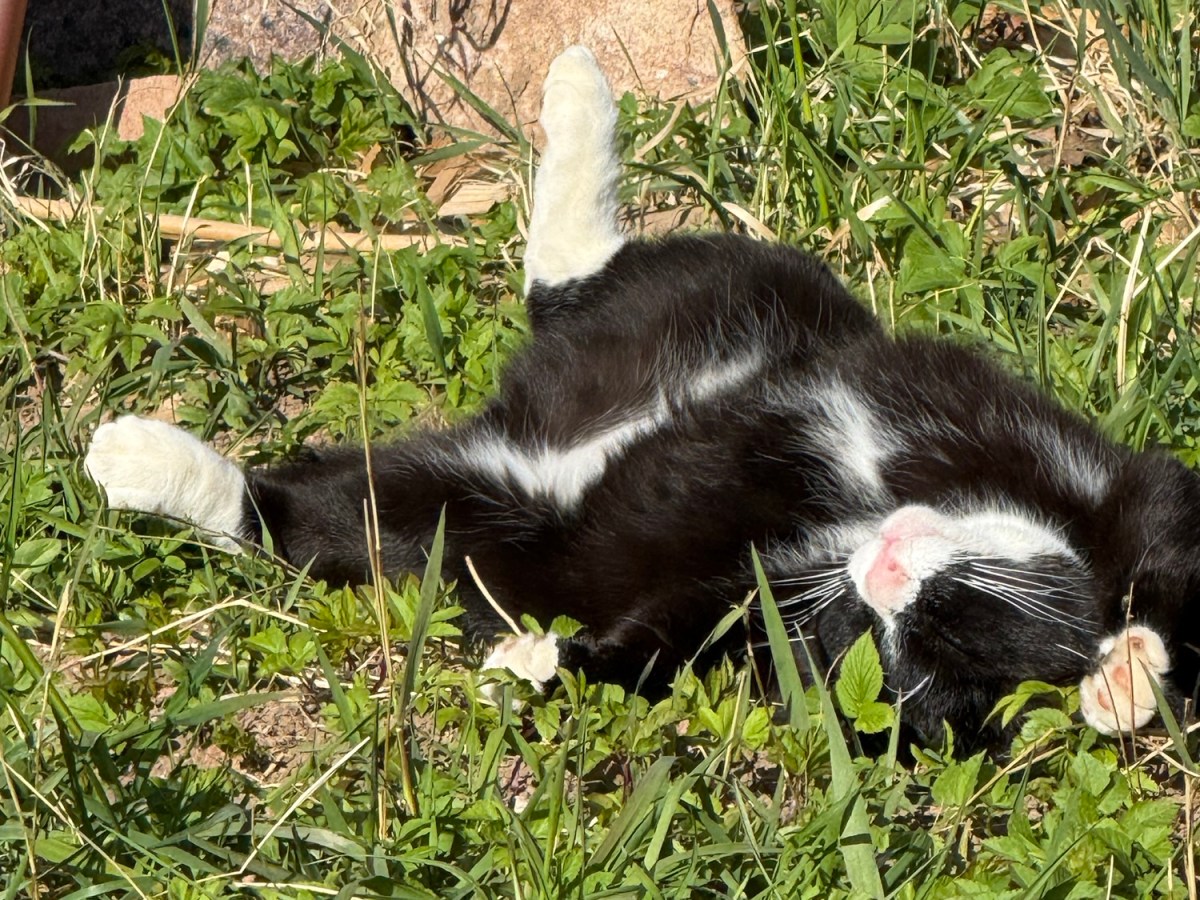 Finally, a Warm&nbsp;Day